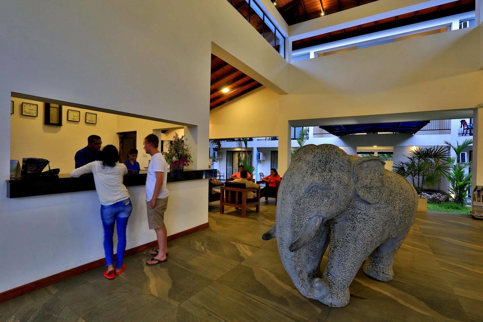 The Blue Wave Hotel Baía de Arugam Exterior foto